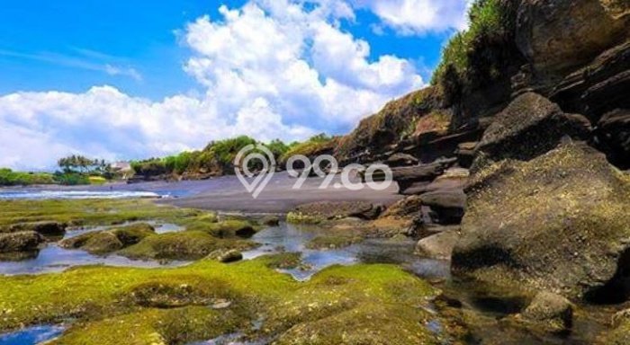 Tanah Dijual Lokasi Strategis di Badung dengan Luas 3100m2 Tanah Dijual Lokasi Strategis di Badung dengan Luas 3100m2