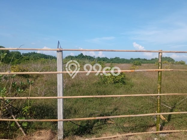 Tanah Dijual Lokasi Strategis di Badung dengan Luas 3100m2 Tanah Dijual Lokasi Strategis di Badung dengan Luas 3100m2