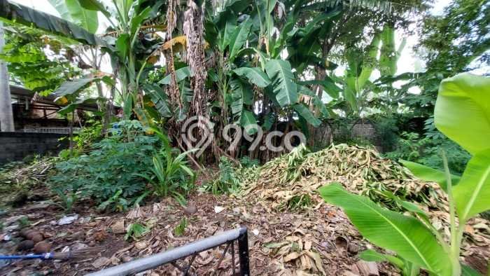 Tanah Kavling Dijual di Badung dengan Spesifikasi 975m2 Tanah Kavling Dijual di Badung dengan Spesifikasi 975m2