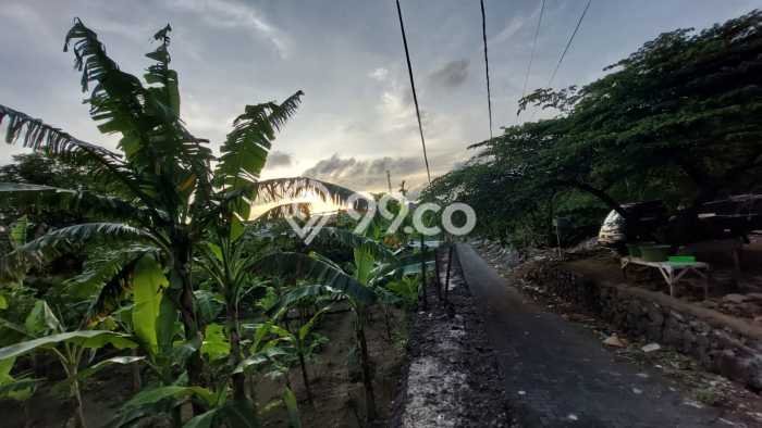 Dijual Tanah 1000m2 di Renon, Denpasar Dijual Tanah 1000m2 di Renon, Denpasar