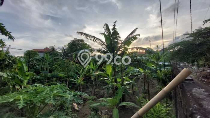 Dijual Tanah 1000m2 di Renon, Denpasar Dijual Tanah 1000m2 di Renon, Denpasar