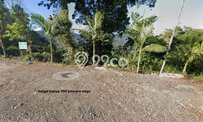 Tanah Kavling Dijual di Buleleng dengan Spesifikasi 2000m2 Tanah Kavling Dijual di Buleleng dengan Spesifikasi 2000m2