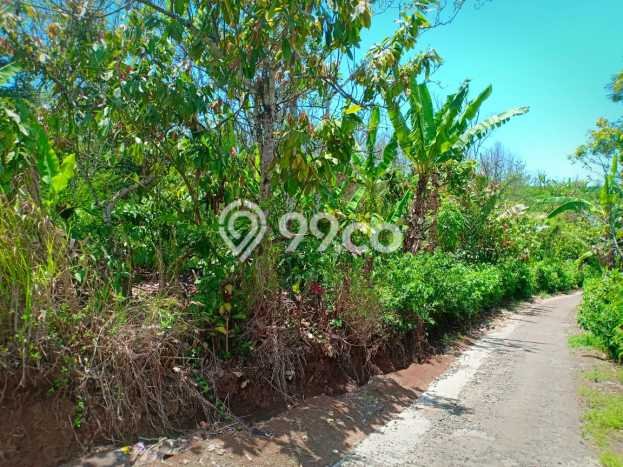 Dijual Tanah Lokasi Sepang Kelod, Buleleng Seluas 45000m2 Dijual Tanah Lokasi Sepang Kelod, Buleleng Seluas 45000m2