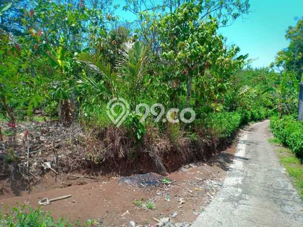 Dijual Tanah Lokasi Sepang Kelod, Buleleng Seluas 45000m2 Dijual Tanah Lokasi Sepang Kelod, Buleleng Seluas 45000m2