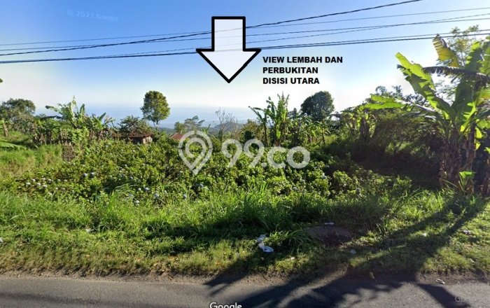 Tanah Kavling Dijual di Buleleng dengan Spesifikasi 2000m2 Tanah Kavling Dijual di Buleleng dengan Spesifikasi 2000m2