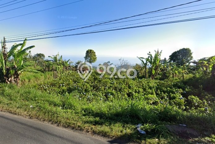 Tanah Kavling Dijual di Buleleng dengan Spesifikasi 2000m2 Tanah Kavling Dijual di Buleleng dengan Spesifikasi 2000m2