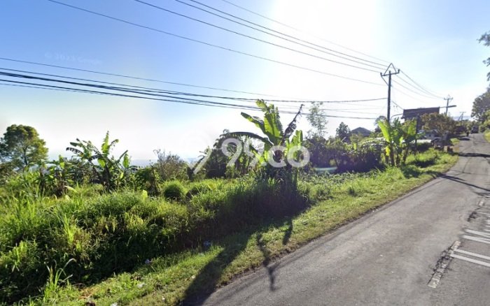 Tanah Kavling Dijual di Buleleng dengan Spesifikasi 2000m2 Tanah Kavling Dijual di Buleleng dengan Spesifikasi 2000m2