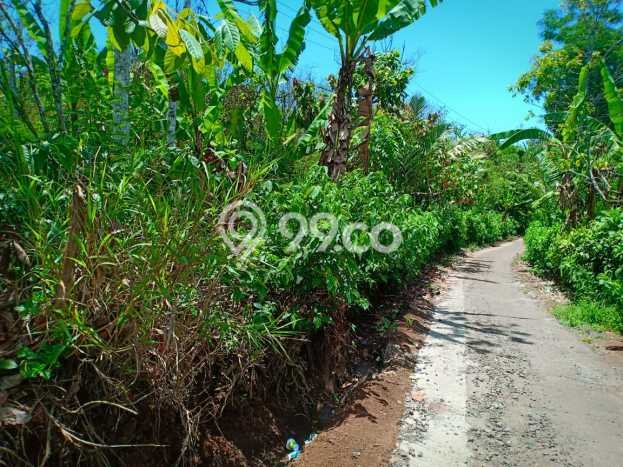 Dijual Tanah Lokasi Sepang Kelod, Buleleng Seluas 45000m2 Dijual Tanah Lokasi Sepang Kelod, Buleleng Seluas 45000m2