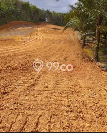 Untuk Dijual Tanah di Sepaku Penajam Paser Utara Luas 300m2 Hak Pakai Untuk Dijual Tanah di Sepaku Penajam Paser Utara Luas 300m2 Hak Pakai