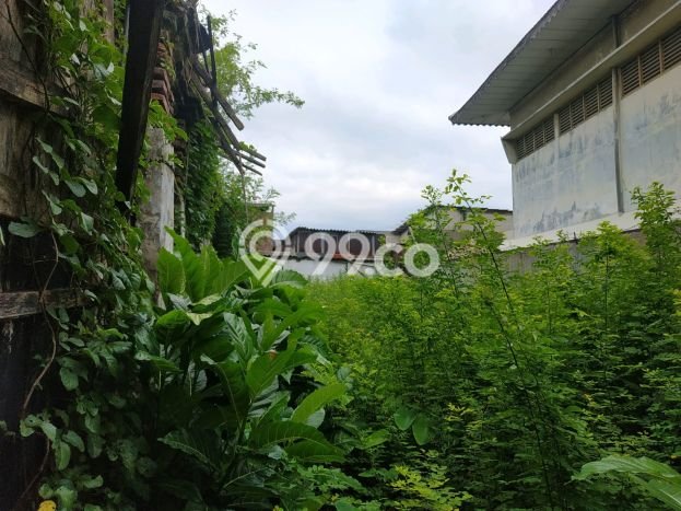 Siap Huni Rumah Mewah 3 Kamar di Semarang Tengah Dekat ke Mana Saja Siap Huni Rumah Mewah 3 Kamar di Semarang Tengah Dekat ke Mana Saja