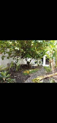 For Sale Rumah Elit Exclusive di Semarang Selatan, Semarang For Sale Rumah Elit Exclusive di Semarang Selatan, Semarang