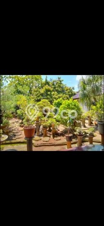 Jual Rumah Harga Miring Semarang Selatan Punya 6 KT & LT 844m2 Jual Rumah Harga Miring Semarang Selatan Punya 6 KT & LT 844m2