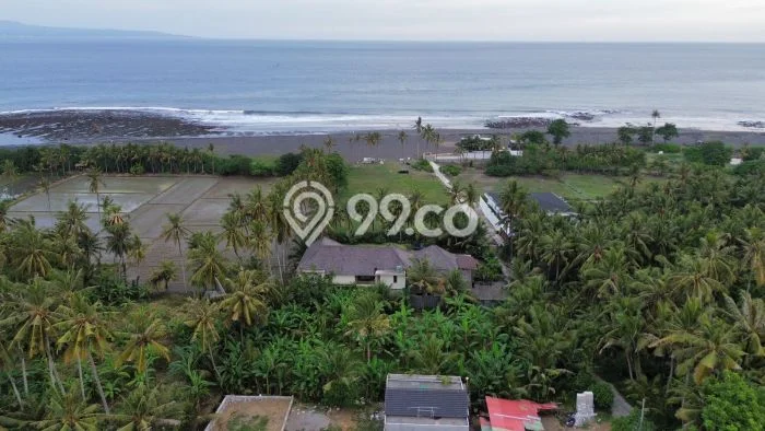 Tanah Siap Bangun Dijual di Gianyar Punya Luas 5200m2 Tanah Siap Bangun Dijual di Gianyar Punya Luas 5200m2