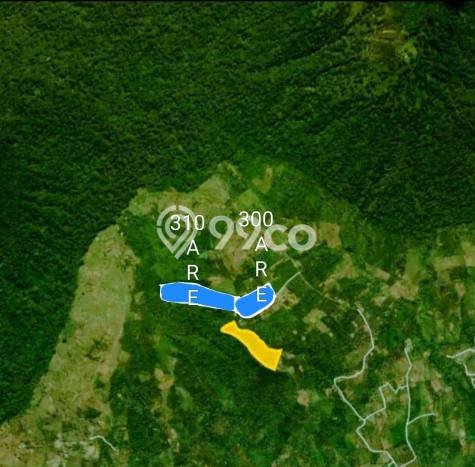 Kavling Tanah untuk Dijual di Bedugul, Tabanan, Luas 61000m2 Kavling Tanah untuk Dijual di Bedugul, Tabanan, Luas 61000m2