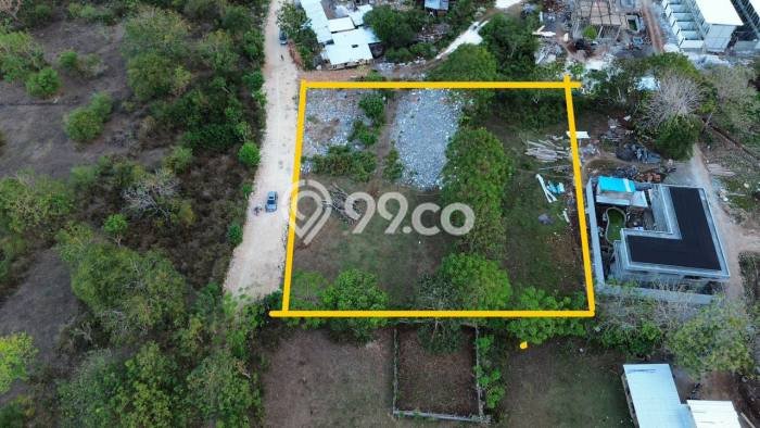 Tanah Dijual di Badung Seluas 3000m2 Strategis Tanah Dijual di Badung Seluas 3000m2 Strategis