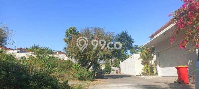 Tanah Kavling Dijual di Badung dengan Spesifikasi 3000m2 Tanah Kavling Dijual di Badung dengan Spesifikasi 3000m2