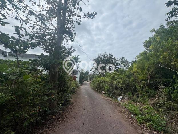 Untuk Dijual Tanah 1000m2 di Ungasan, Badung Untuk Dijual Tanah 1000m2 di Ungasan, Badung