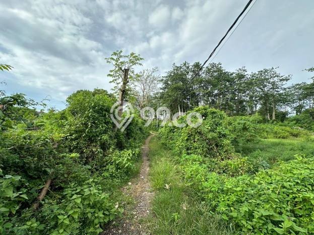 Kavling Tanah untuk Dijual di Ungasan, Badung, Luas 460m2 Kavling Tanah untuk Dijual di Ungasan, Badung, Luas 460m2
