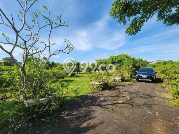 Tanah Kavling Dijual di Badung dengan Spesifikasi 1000m2 Tanah Kavling Dijual di Badung dengan Spesifikasi 1000m2