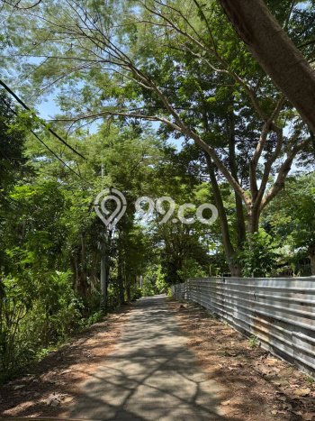 Lahan untuk Disewa di Badung Luas 1620m2 Lahan untuk Disewa di Badung Luas 1620m2