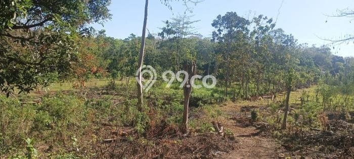 Tanah Kavling Dijual di Badung dengan Spesifikasi 3000m2 Tanah Kavling Dijual di Badung dengan Spesifikasi 3000m2