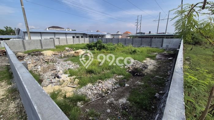 Tanah untuk Disewa di Denpasar Luas 1000m2 Tanah untuk Disewa di Denpasar Luas 1000m2
