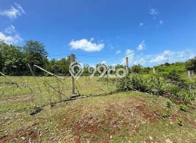 Tanah Kavling Dijual di Jimbaran, Badung dengan Luas Tanah 9600m2 Tanah Kavling Dijual di Jimbaran, Badung dengan Luas Tanah 9600m2