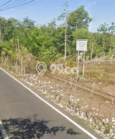 Tanah Kavling Dijual di Badung dengan Spesifikasi 2000m2 Tanah Kavling Dijual di Badung dengan Spesifikasi 2000m2