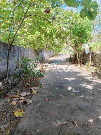 Tanah Kavling Dijual di Jimbaran, Badung dengan Luas Tanah 9600m2 Tanah Kavling Dijual di Jimbaran, Badung dengan Luas Tanah 9600m2