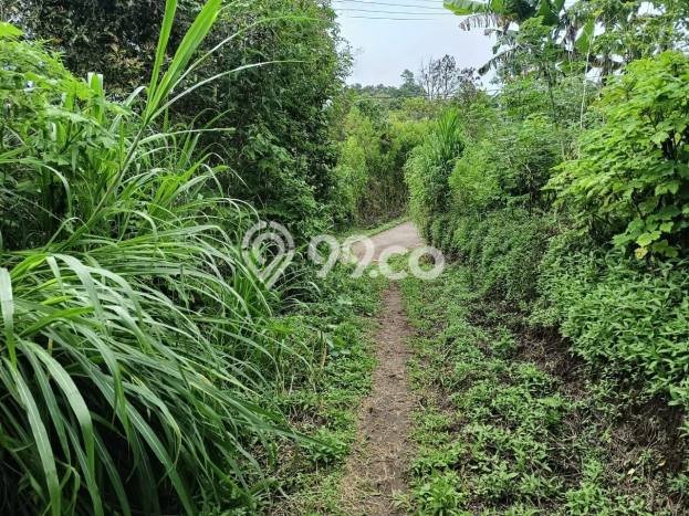 Tanah Siap Bangun Dijual di Buleleng Punya Luas 27m2 Tanah Siap Bangun Dijual di Buleleng Punya Luas 27m2