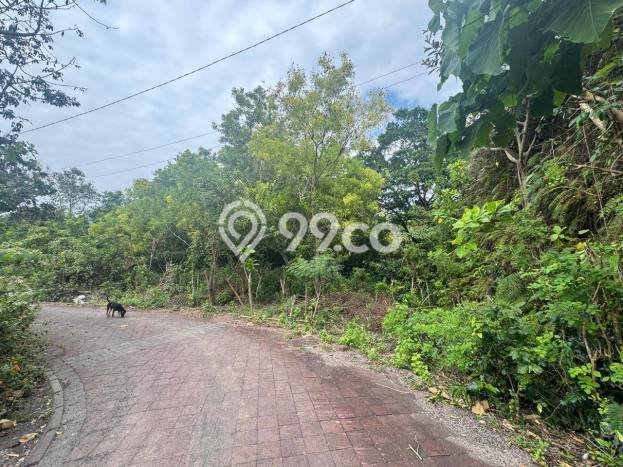 Untuk Dijual Tanah 1000m2 di Ungasan, Badung Untuk Dijual Tanah 1000m2 di Ungasan, Badung
