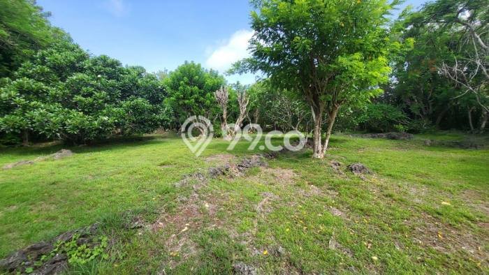 Tanah di Denpasar Selatan, Denpasar Luas 27900m2 Dijual Segera Tanah di Denpasar Selatan, Denpasar Luas 27900m2 Dijual Segera