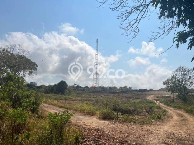 Dijual Tanah di Badung, Luas 10000m2 SHM Dijual Tanah di Badung, Luas 10000m2 SHM