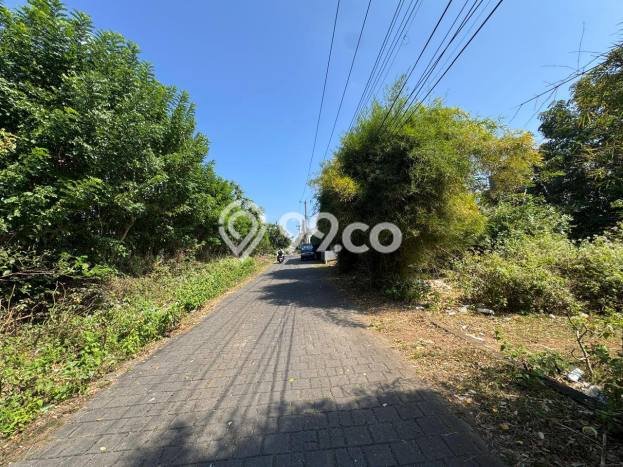 Tanah Siap Bangun Dijual di Badung Punya Luas 2000m2 Tanah Siap Bangun Dijual di Badung Punya Luas 2000m2