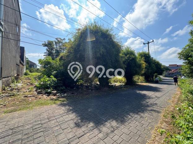 Tanah Siap Bangun Dijual di Badung Punya Luas 2000m2 Tanah Siap Bangun Dijual di Badung Punya Luas 2000m2