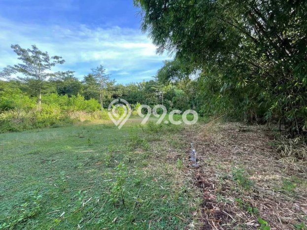 Lahan untuk Disewa di Badung Luas 1620m2 Lahan untuk Disewa di Badung Luas 1620m2