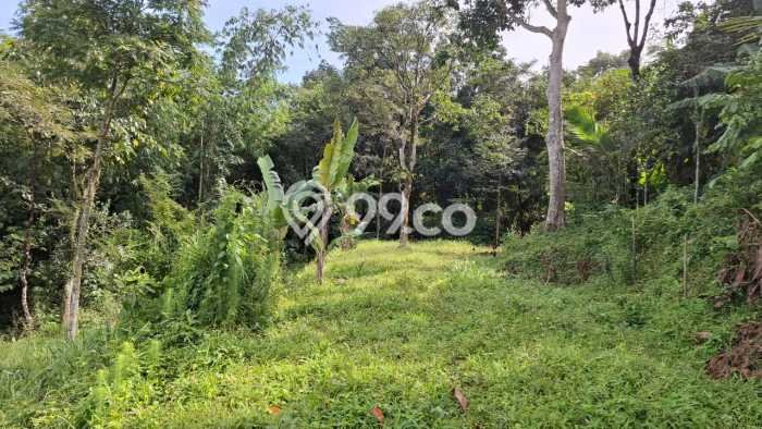 Lahan Kosong Dijual di Citeureup, Bogor, Luas 2604m2 Area Strategis Lahan Kosong Dijual di Citeureup, Bogor, Luas 2604m2 Area Strategis