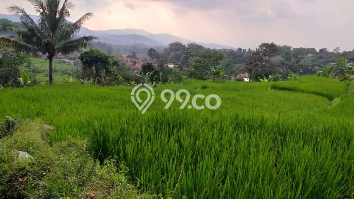 LOKASI STRATEGIS! Tanah di Pamijahan, Luas 1500m2m², Area Nyaman, Cocok untuk Investasi LOKASI STRATEGIS! Tanah di Pamijahan, Luas 1500m2m², Area Nyaman, Cocok untuk Investasi