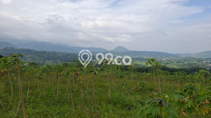Tanah di Sukamakmur, Bogor Luas 13000m2 Dijual Segera Tanah di Sukamakmur, Bogor Luas 13000m2 Dijual Segera
