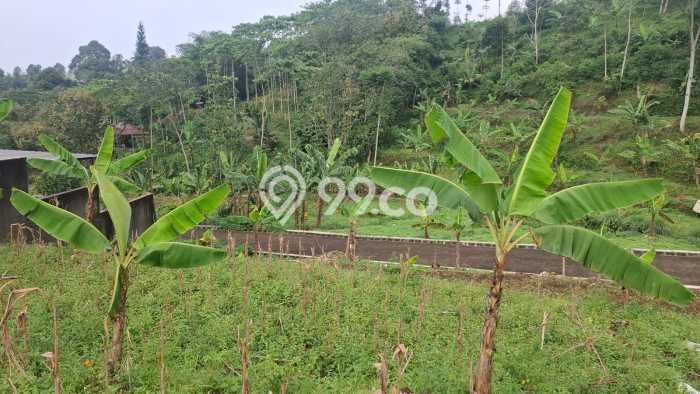 Lahan Dijual Lokasi Cigombong, Bogor dengan Luas Tanah 1000m2 dan Status SHM Lahan Dijual Lokasi Cigombong, Bogor dengan Luas Tanah 1000m2 dan Status SHM