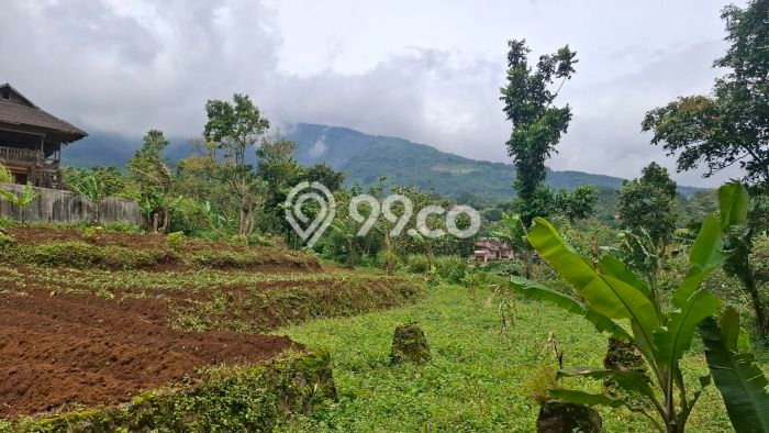 Jarang Ada! Tanah di Cigombong Punya Luas 1000m2 SHM Jarang Ada! Tanah di Cigombong Punya Luas 1000m2 SHM