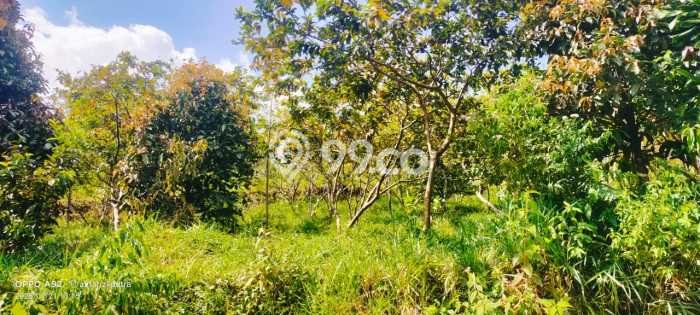 Tanah Komersial Dijual di Caringin Bogor 9000m2 Tanah Komersial Dijual di Caringin Bogor 9000m2