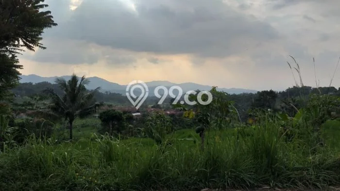 LOKASI STRATEGIS! Tanah di Pamijahan, Luas 1500m2m², Area Nyaman, Cocok untuk Investasi LOKASI STRATEGIS! Tanah di Pamijahan, Luas 1500m2m², Area Nyaman, Cocok untuk Investasi