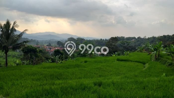 LOKASI STRATEGIS! Tanah di Pamijahan, Luas 1500m2m², Area Nyaman, Cocok untuk Investasi LOKASI STRATEGIS! Tanah di Pamijahan, Luas 1500m2m², Area Nyaman, Cocok untuk Investasi
