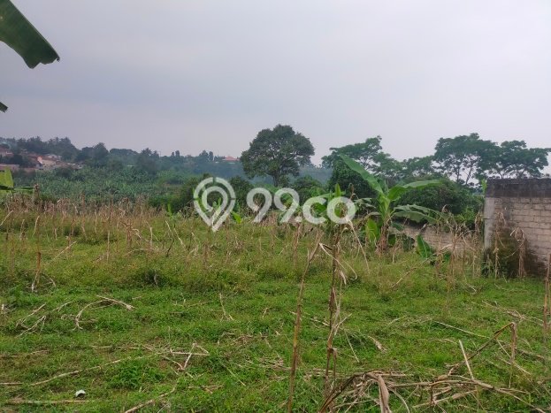 Dijual Tanah di Caringin Bogor Luas 1600m2 - Dijual Tanah di Caringin Bogor Luas 1600m2 -