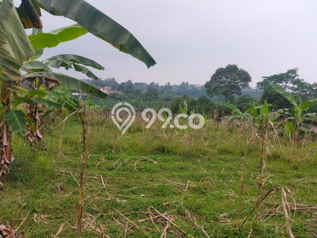Dijual Tanah di Caringin Bogor Luas 1600m2 - Dijual Tanah di Caringin Bogor Luas 1600m2 -
