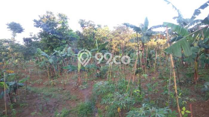 Kavling Tanah Dijual di Babakan Madang Bogor Spesifikasi 3870m2 Kavling Tanah Dijual di Babakan Madang Bogor Spesifikasi 3870m2