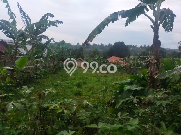 Tanah Kavling di Caringin Dijual dengan Luas 12000m2 Tanah Kavling di Caringin Dijual dengan Luas 12000m2