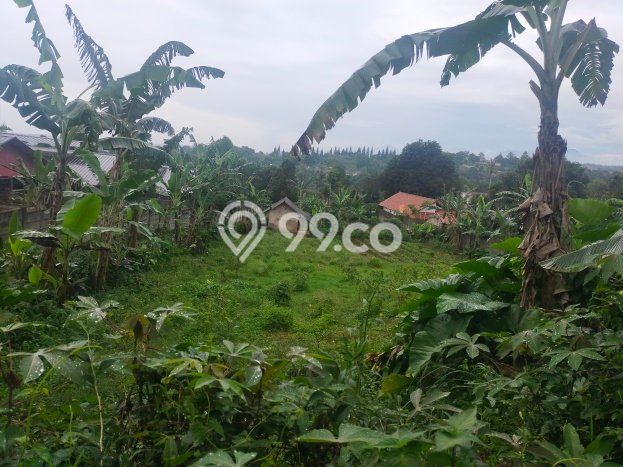 Tanah Kavling di Caringin Dijual dengan Luas 12000m2 Tanah Kavling di Caringin Dijual dengan Luas 12000m2