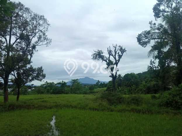 Tanah Kawasan Rumpin, Luas 4200m2m², Lokasi Premium Tanah Kawasan Rumpin, Luas 4200m2m², Lokasi Premium